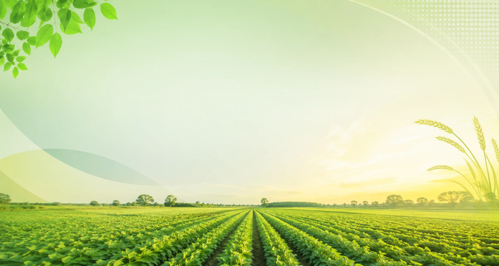 Agri-India Farmers